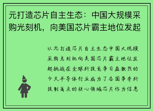 元打造芯片自主生态：中国大规模采购光刻机，向美国芯片霸主地位发起挑战