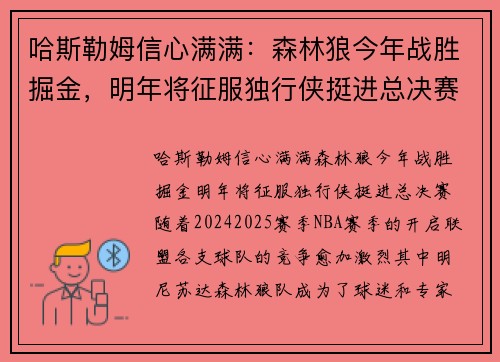 哈斯勒姆信心满满：森林狼今年战胜掘金，明年将征服独行侠挺进总决赛